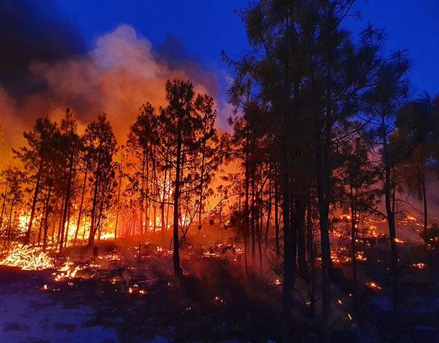 TC Energía brinda apoyo a la erradicación de incendios en la Sierra Tarahumara