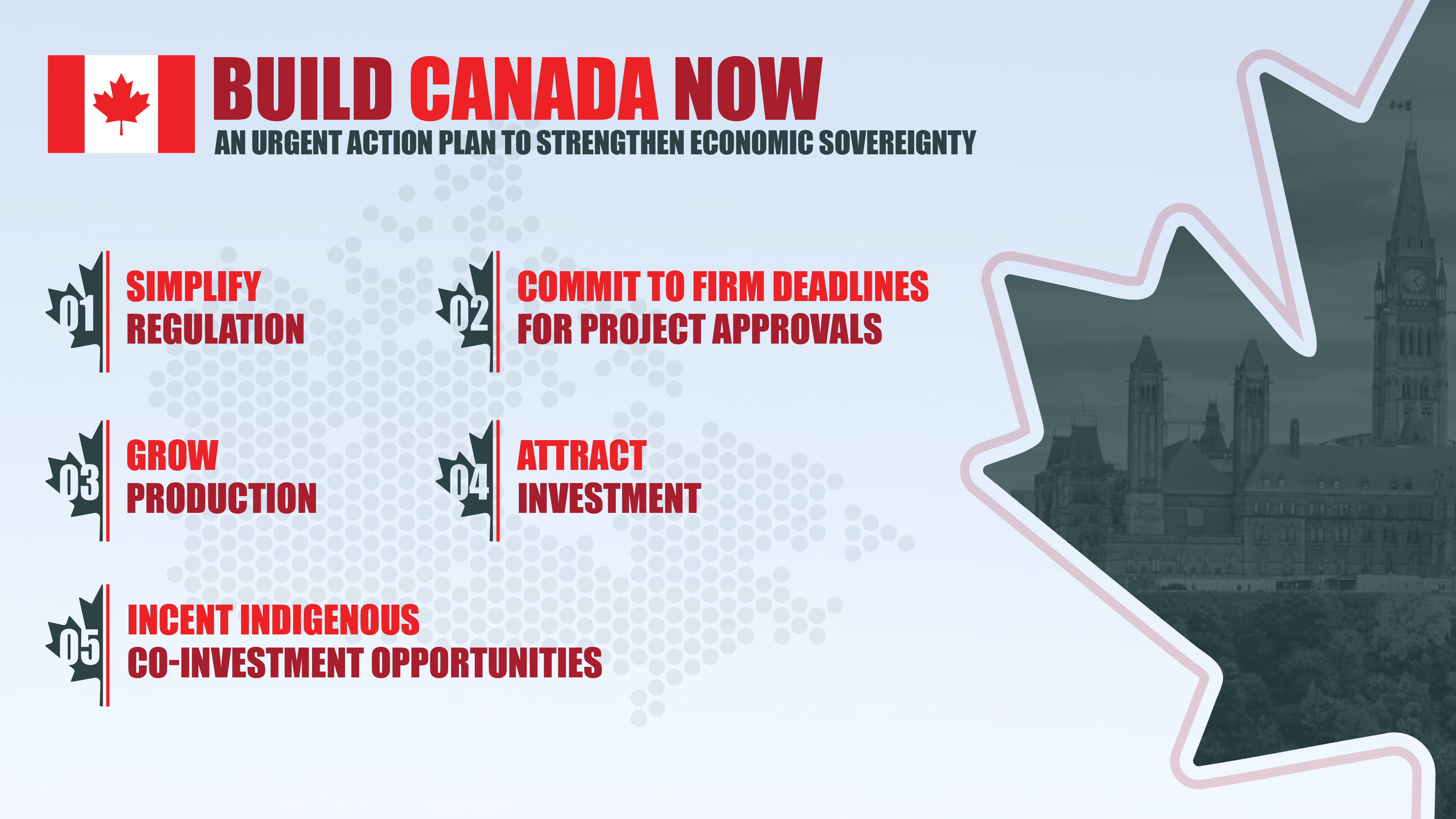 Action Plan Infographic